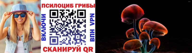 гидра ССЫЛКА  где продают наркотики  Вельск  Галлюциногенные грибы Psilocybe 